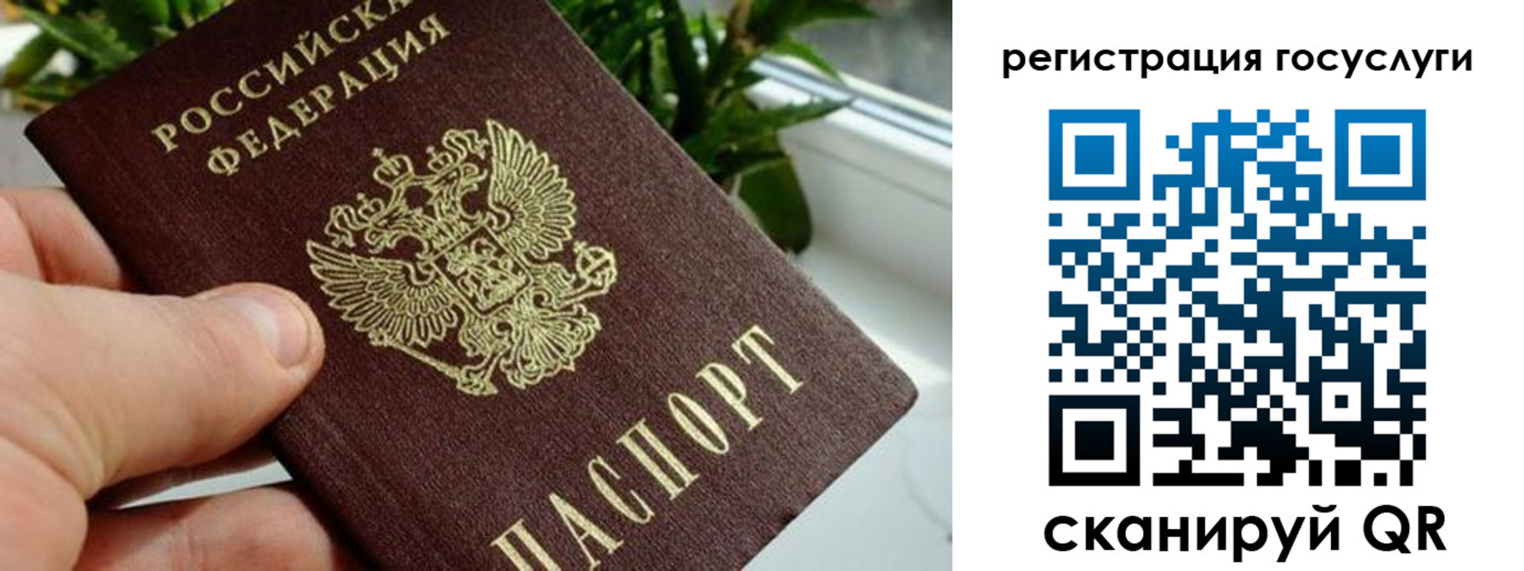 прописка для кредита в Курганской области